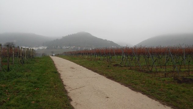 Wine Country in Germany