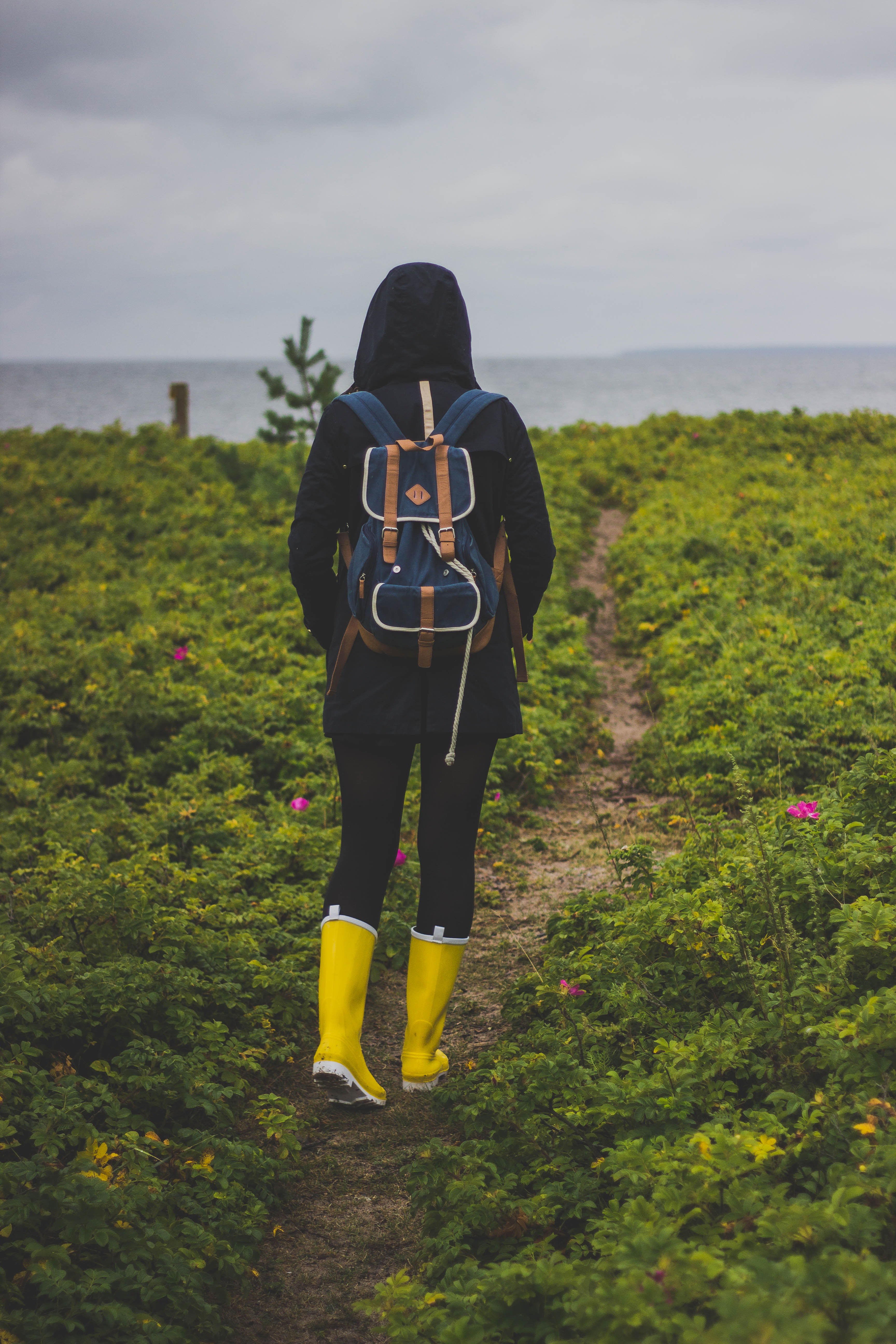 adventure-backpack-hiking-14400