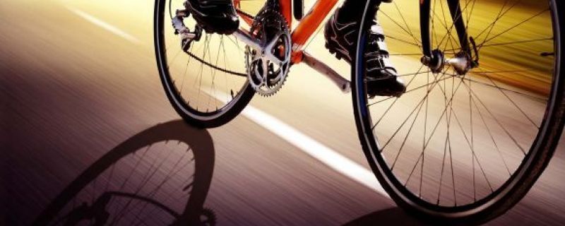Study Sports Performance in the UK