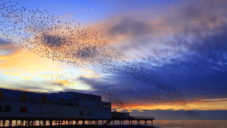 Study in Wales, UK at Aberystwyth University, Great Britain