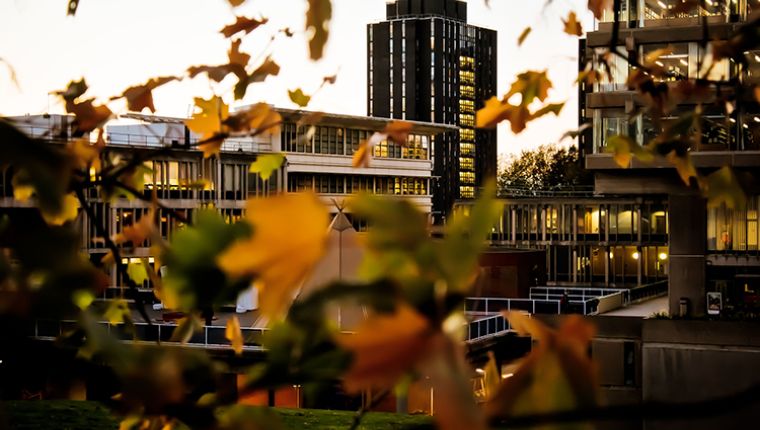 Study in England, UK at the University of Essex
