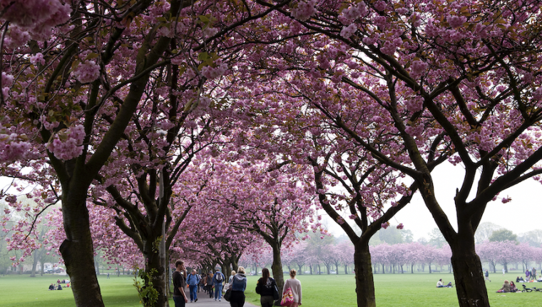 Study in Edinburgh, at University of Edinburgh in Scotland, UK