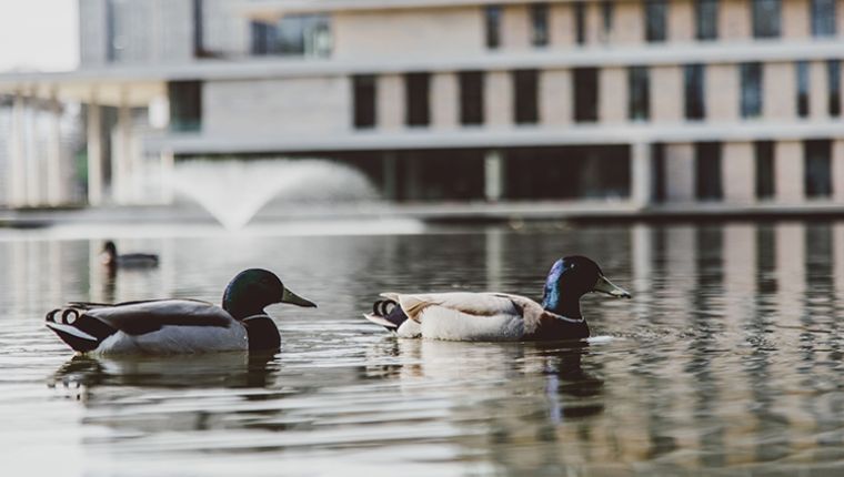 Study in England, UK at the University of Essex