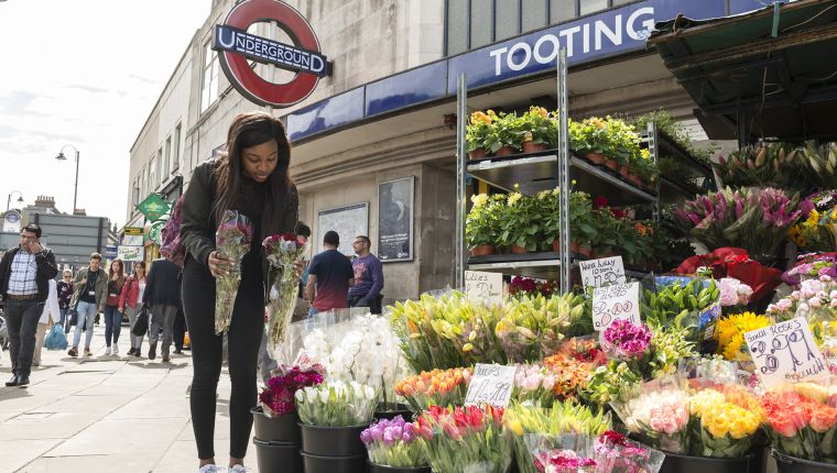 Study health sciences in London, UK at St George´s University of London, England