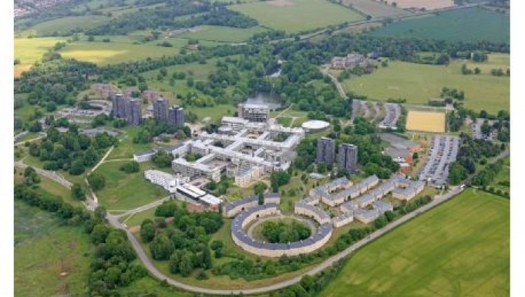 Studere ved University of Essex i England