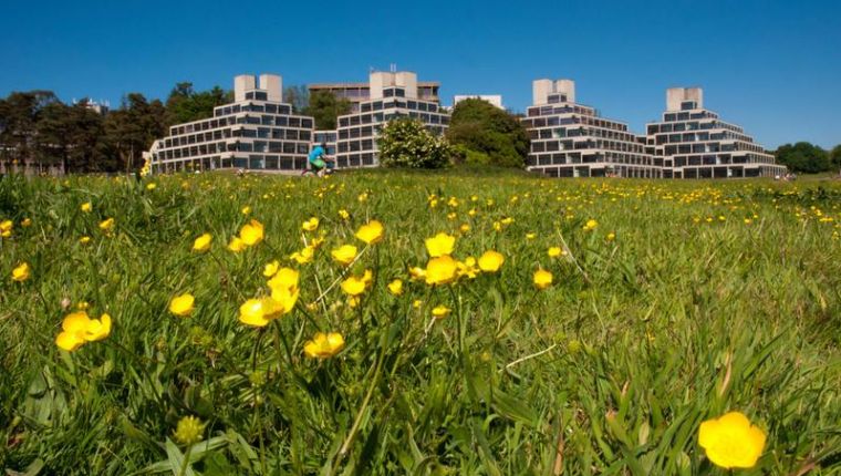 Studere ved University of East Anglia i England